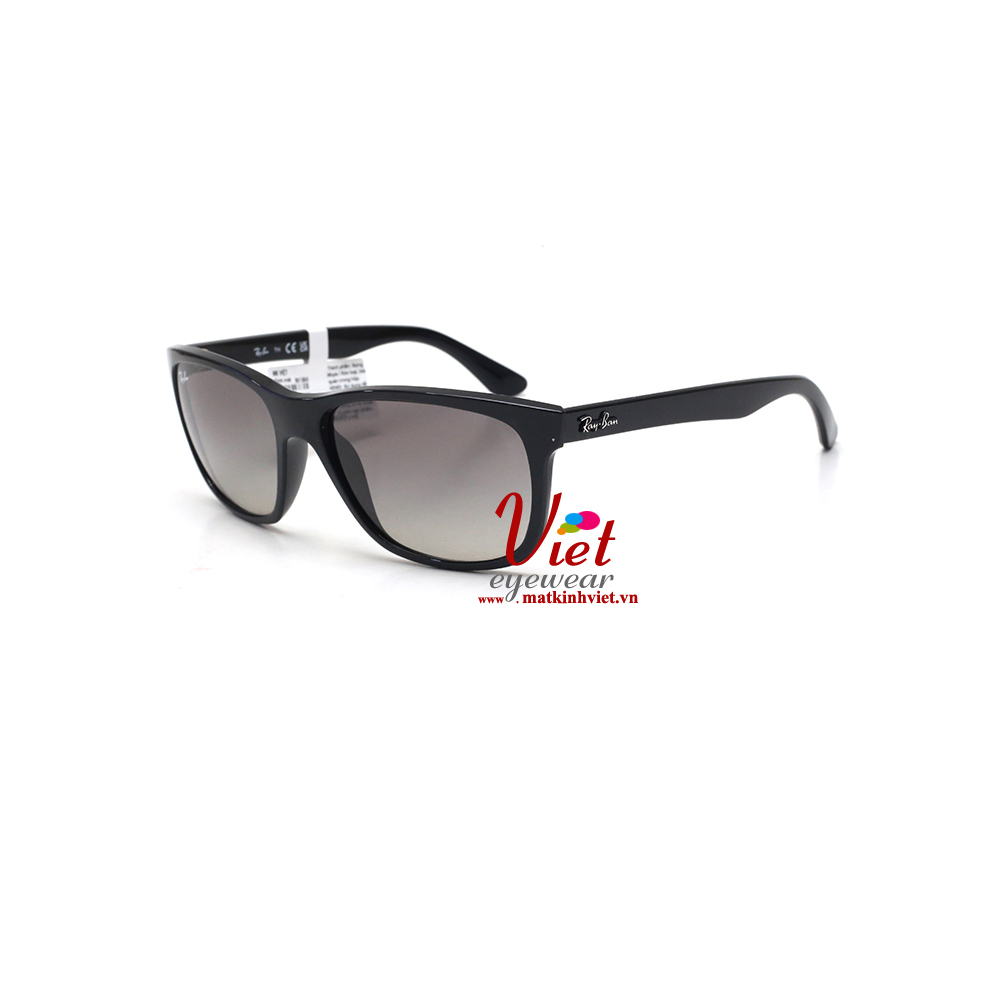 Kính mát RayBan RB4181  601/71 